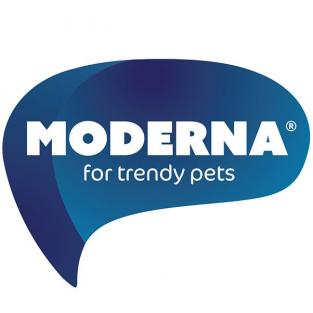 Переноска Trendy Люкс2 с металлической дверцей и замком, 49*32*30см