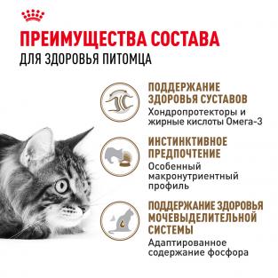 Кусочки в желе для кошек старше 12лет (Ageing+12), 85г