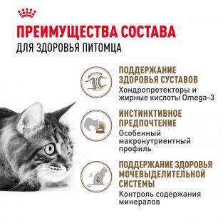 Кусочки в соусе для кошек старше 12лет (Ageing+12), 85г