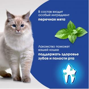 Лакомство для кошек ORAL CARE, с курицей и добавлением мяты Для поддержания здоровья зубов и полости рта, 50г
