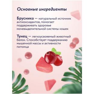 Крем-суп для котят и кошек для поддержки мочевыделительной системы с тунцом и брусникой, 75г