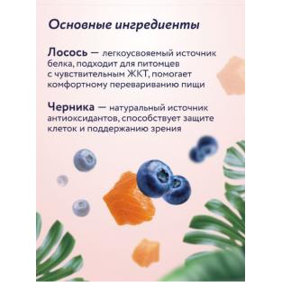 Крем-суп для котят и кошек для чувствительного пищеварения с лососем и черникой, 75г