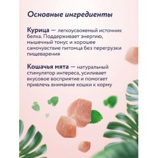 Крем-суп для котят и кошек для повышения аппетита и интереса к корму с курицей и кошачьей мятой, 75г