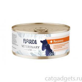 Консервы диетические Recovery для взрослых кошек и собак в период анорексии, выздоровления и послеоперационного восстановления, 100г