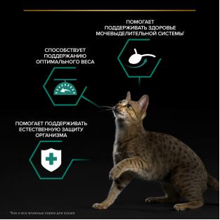 Паучи для взрослых стерилизованных кошек индейкой в соусе, Sterilised MAINTENANCE, 85г