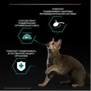 Паучи для взрослых стерилизованных кошек лосось в соусе, Sterilised MAINTENANCE, 85г