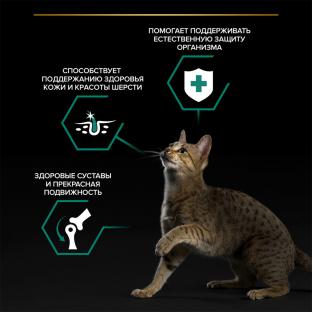 Паучи для взрослых кошек с говядиной в соусе, MAINTENANCE, 85г