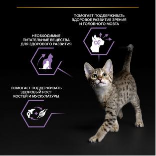 Паучи для котят, беременных и кормящих кошек лосось в соусе, HEALTHY START, 85г