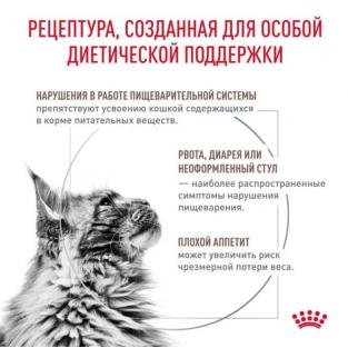 Паучи для кошек при лечении ЖКТ (Gastro Intestinal feline), 85г