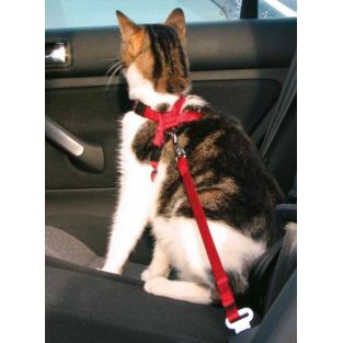 Автомобильный ремень безопасности со шлейкой для кошки 20-50см (1294)