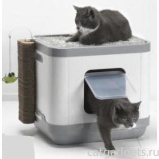 Cat Concept 4 в 1 (туалет, лежанка, дразнилка, когтеточка) 40*48*43 см
